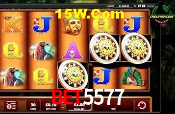 Jogos com bônus e suporte 24h na Bet5577